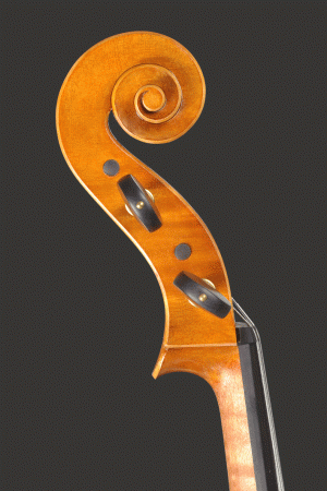costruzione violini viole violoncelli ARTURO VIRGOLETTI