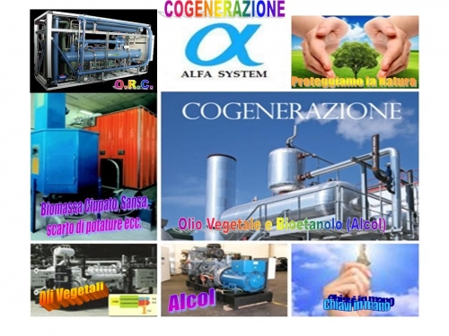 IMPIANTI DI COGENERAZIONE LIQUIDA - SOLIDA - BIOGAS