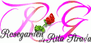 Vendita di rose, produzione di rose, rose antiche, rose grandi fiori, rose ramicanti, rose inglesi, importatore diretto di rose, vendita all'ingrosso ROSEGARDEN