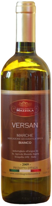 vino igt marche bianco