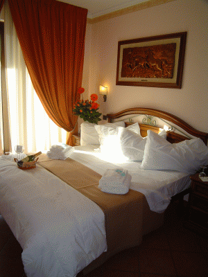 hotel fiumicino aeroporto roma camere  bed breakfast resort residence  hotel EURO HOUSE INN HOTEL DI FABIOLA CIANFROCCA