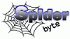 Spiderbyte a Pordenone SPIDERBYTE