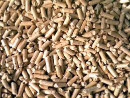 OLIO VEGETALE