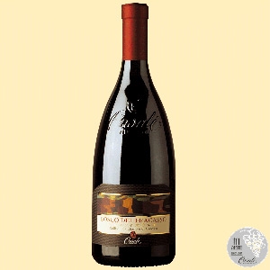Bosco del Fracasso: lambrusco in vendita su Casali Vini