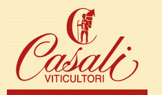 Vendita lambrusco: più di 100 anni di esperienza con Casali Viticultori CASALI VITICULTORI SRL