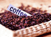 caffè in grani HAVANA VENDING