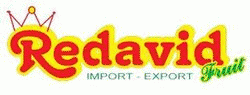 prodotti ortofrutticoli freschi REDAVID FRUIT DI GIUSEPPE REDAVID