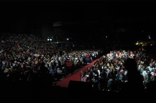AMBROGINO 2008 - IL PUBBLICO