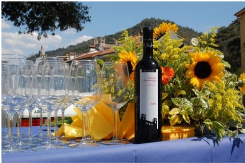 Rossese di Dolceaqua Doc Maixei bottiglia in posa di fronte all'antico Castello dei Doria