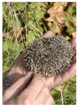 Da 50 anni produzione di vini doc nel pieno rispetto della natura