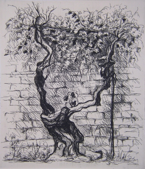 incontri sull'incisione calcografica