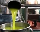 Olio di Moricone appena esce dal separatore