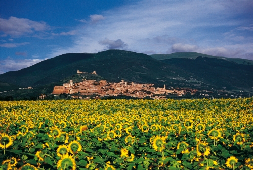 Panorama Su Assisi