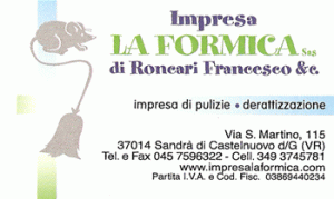 pulizie disinfestazione pulizia IMPRESA LA FORMICA DI RONCARI FRANCESCO