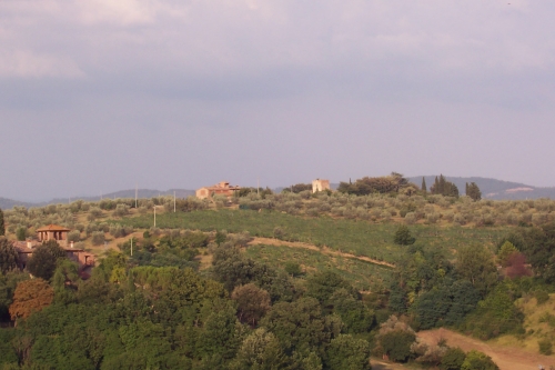 Panorama