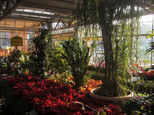 nel Garden