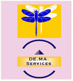 Igiene ambientale,Pulizie civili e industriali DE.MA.SERVICES DI DELL'ANNA MAURIZIO