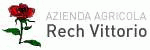 Vivaio rose, vendita rose per esterni, produzione rose City Flor AZIENDA AGRICOLA VITTORIO RECH