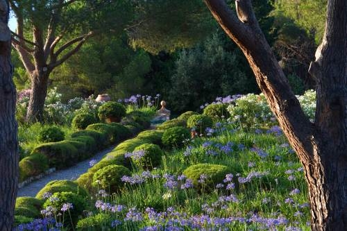 Piante e fiori Perugia