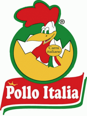 pollo, tacchino, conigli NUOVA FOOD SRL