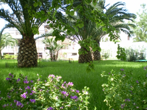 GIARDINO IN STILE CLASSICO