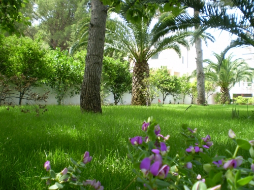 GIARDINO IN STILE CLASSICO