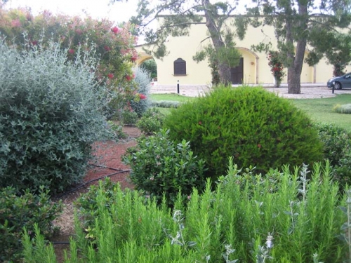 Giardino delle rose