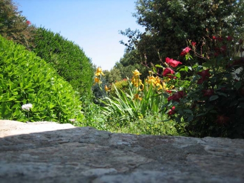 Giardino delle rose
