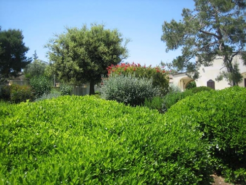 Piante e fiori Lecce