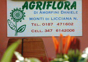 Vendita di prodotti per l'allevamento, la coltivazione, la cura del giardino e la manutenzione delle piscine AGRIFLORA DI AMORFINI DANIELE