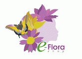 Consegna a Domicilio di Fiori Dolce e Regali in Italia e nel Mondo I-NETWORK