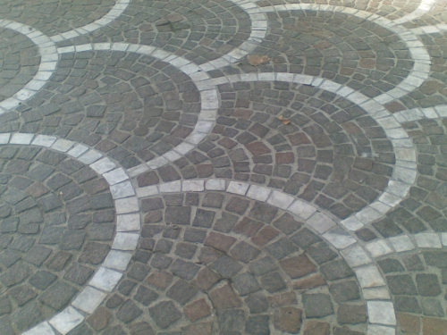 coda di pavone