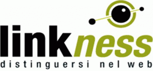 Linkness web agency LINKNESS WEB AGENCY